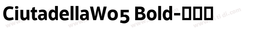 CiutadellaW05 Bold字体转换